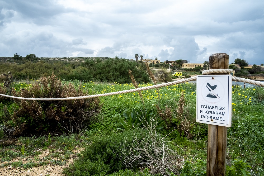 PRESS RELEASE BY THE MINISTRY FOR THE ENVIRONMENT, CLIMATE CHANGE AND PLANNING:  Habitat restoration projects in Comino ongoing