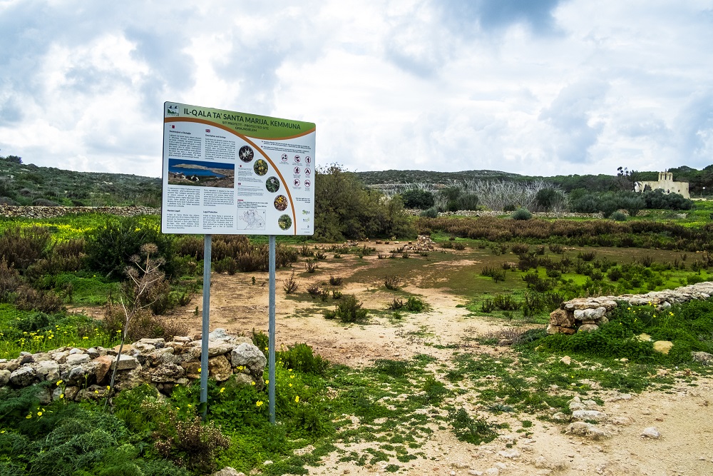 PRESS RELEASE BY THE MINISTRY FOR THE ENVIRONMENT, CLIMATE CHANGE AND PLANNING:  Habitat restoration projects in Comino ongoing