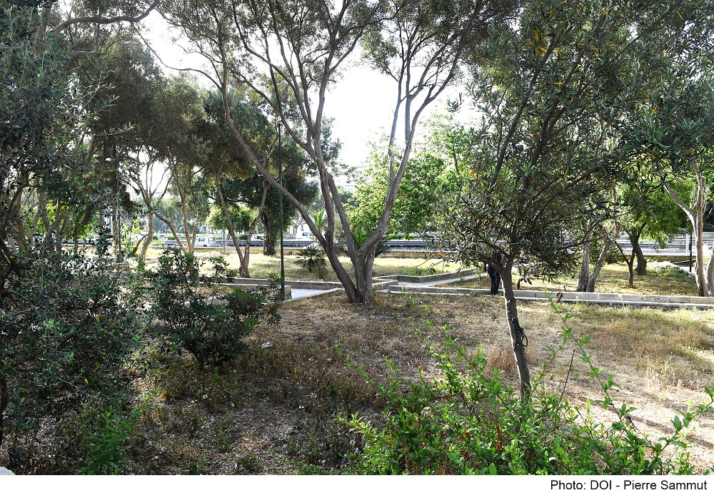 PRESS RELEASE BY THE MINISTRY FOR THE ENVIRONMENT, CLIMATE CHANGE AND PLANNING   A green upgrade for the Belvedere Garden