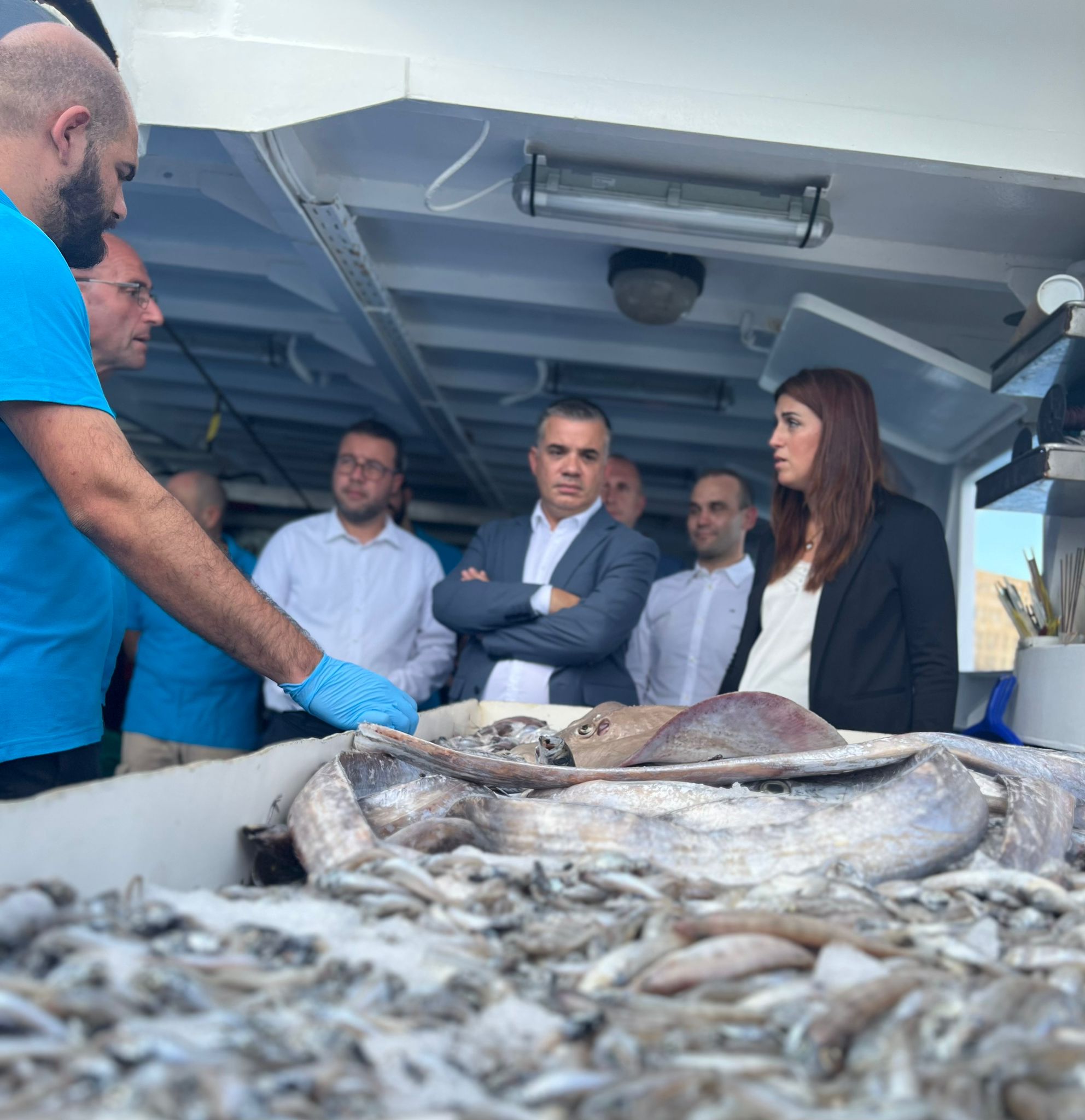 STQARRIJA MIS-SEGRETARJAT PARLAMENTARI GĦALL-FONDI EWROPEJ U S-SEGRETARJAT PARLAMENTARI GĦAS-SAJD, L-AKWAKULTURA U D-DRITTIJIET TAL-ANNIMALI: Stħarriġ xjentifiku fuq il-baħar Malti