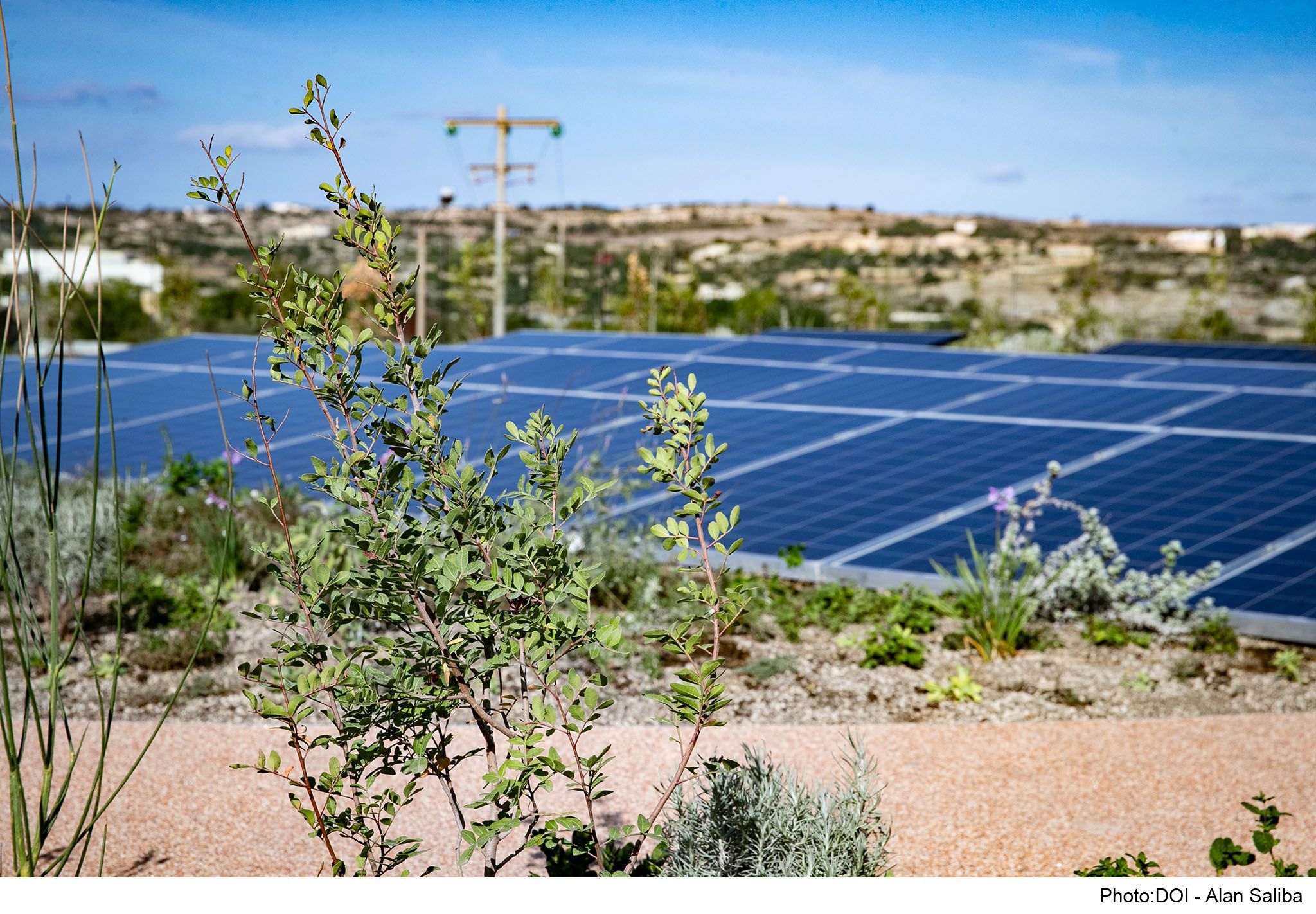 PRESS RELEASE BY THE MINISTRY FOR THE ENVIRONMENT, ENERGY AND ENTERPRISE Experimental green roof with 3,000 plants to gather scientific data for future projects