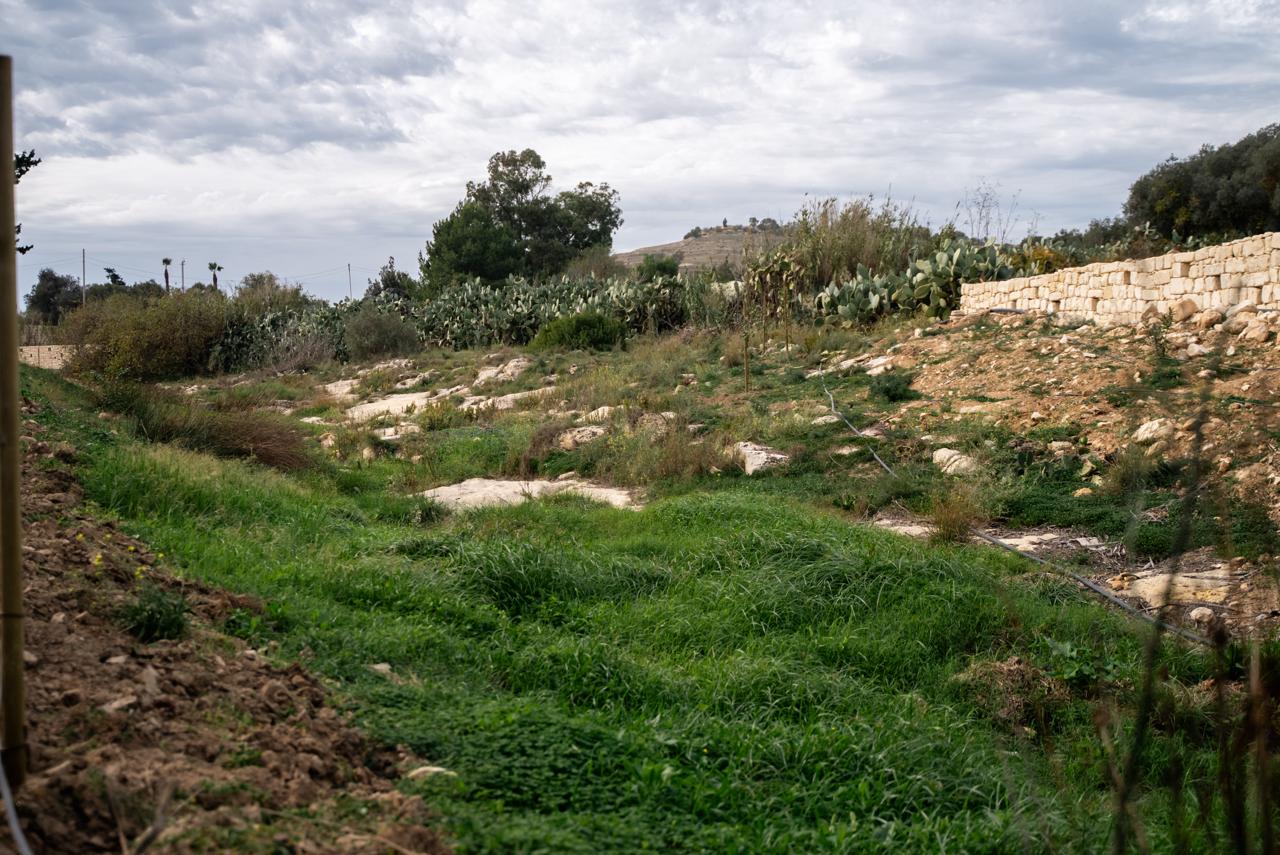 PRESS RELEASE BY THE MINISTRY FOR THE ENVIRONMENT, ENERGY AND PUBLIC CLEANLINESS AND THE MINISTRY FOR EUROPEAN FUNDS AND THE IMPLEMENTATION OF THE ELECTORAL PROGRAMME Wied Speranza major environmental rehabilitation, complete