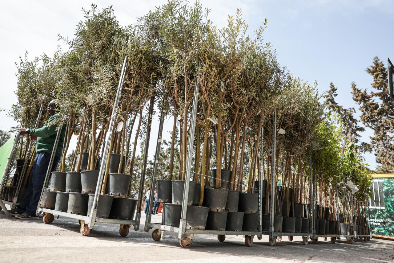 PRESS RELEASE BY THE MINISTRY FOR THE ENVIRONMENT, ENERGY AND PUBLIC CLEANLINESS Distribution of trees begins to the first beneficiaries of the tree-planting initiative