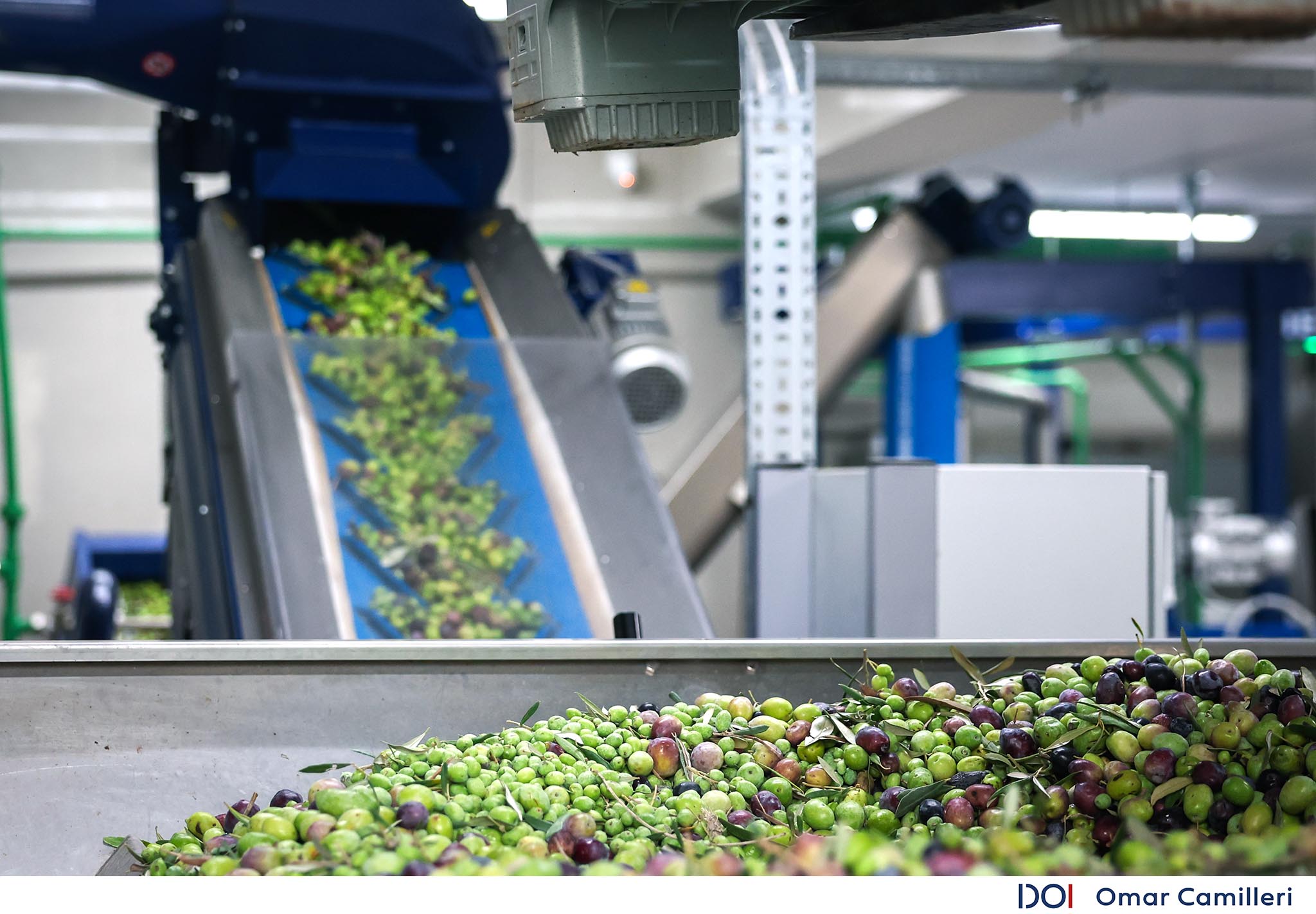 PRESS RELEASE BY THE MINISTRY FOR EUROPEAN FUNDS, SOCIAL DIALOGUE AND CONSUMER PROTECTION AND BY THE MINISTRY FOR AGRICULTURE, FISHERIES AND FOOD SUPPLY €930,000 investment to strengthen Maltese olive oil production
