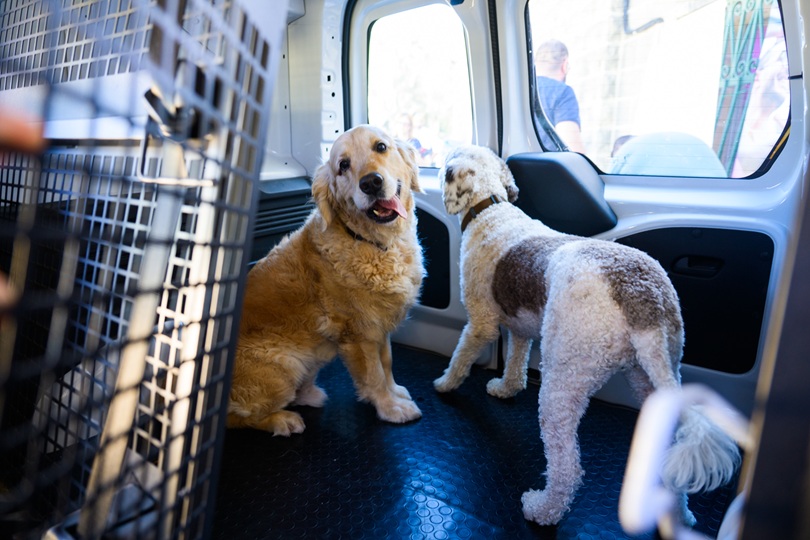 STQARRIJA MILL-MINISTERU GĦALL-INKLUŻJONI U L-VOLONTARJAT Is-Service Dogs Malta Foundation b'vettura li ssaħħaħ l-indipendenza ta' persuni b'diżabilità